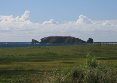 Photo de Île du corps mort